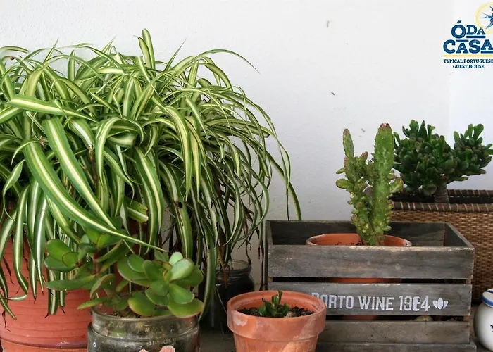 Гостевой дом O Da Casa