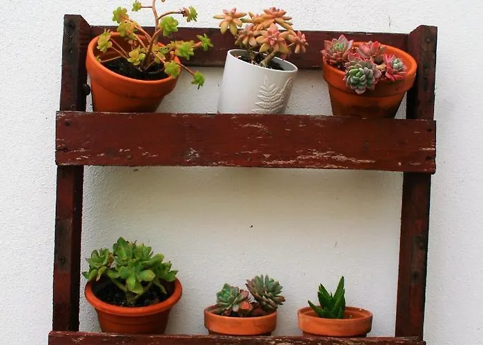 Гостевой дом O Da Casa 3*