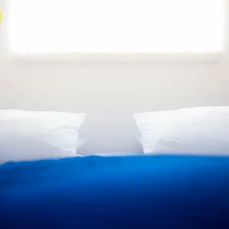 Guest house O Da Casa